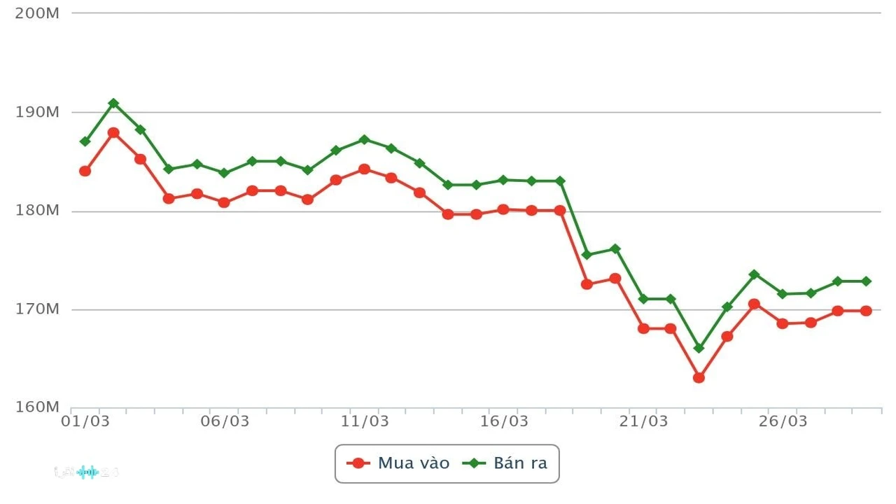 تطورات سعر الذهب وعيار 9999 في سان خوسيه ومستويات الأسعار العالمية نهاية الأسبوع